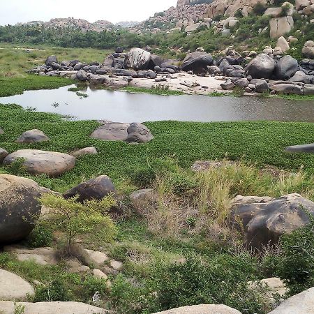 Riverside Homestay Hampi Bagian luar foto