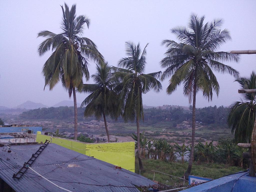 Riverside Homestay Hampi Bagian luar foto