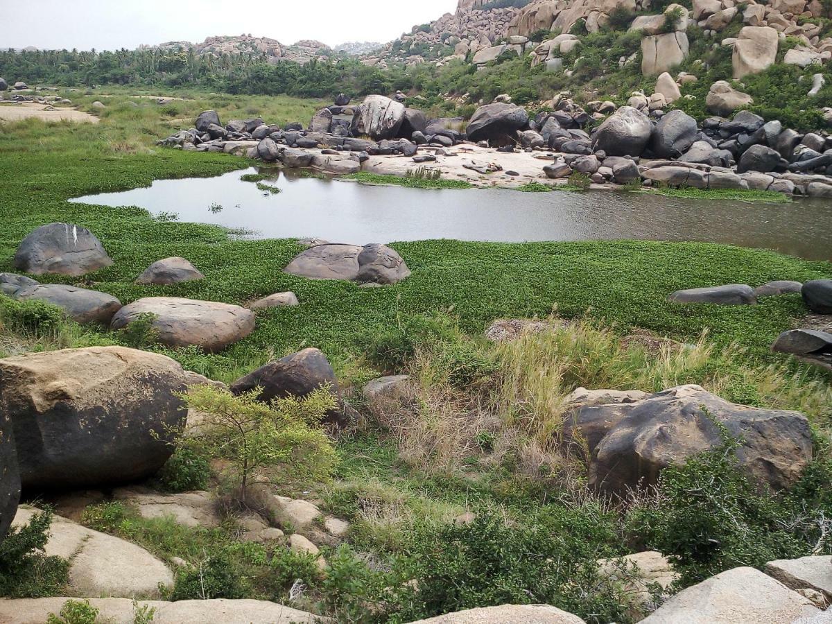 Riverside Homestay Hampi Bagian luar foto